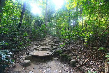 Similar image 10533050