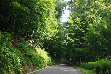 Similar image 10533075