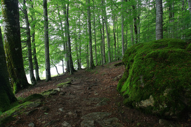 Similar image 10533080