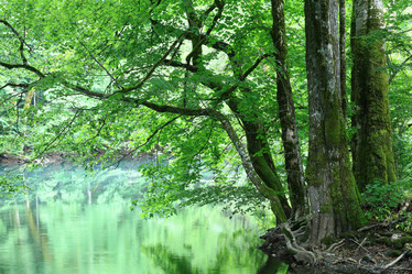 Similar image 10533082