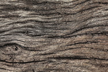 Similar image 10533181