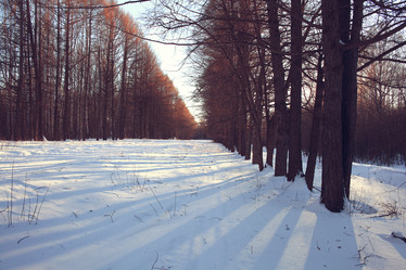 Similar image 10533184