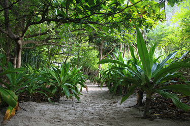 Similar image 10533211