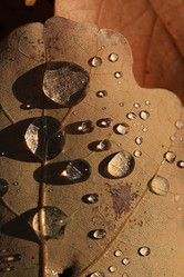 Similar image 10533224