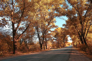 Similar image 10533227