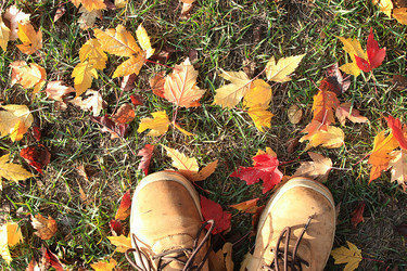 Similar image 10533244