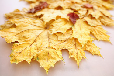 Similar image 10533247