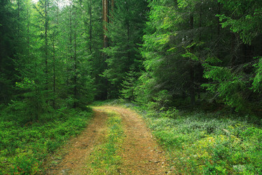 Similar image 10533248