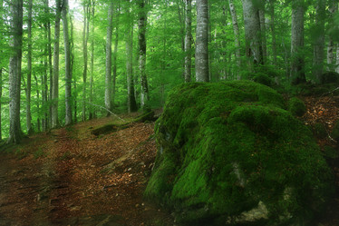 Similar image 10533274