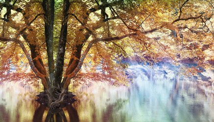 Similar image 10533275