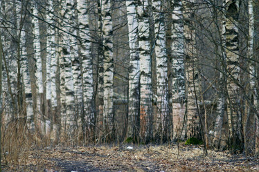 Similar image 10533276