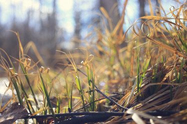 Similar image 10533278