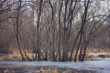 Similar image 10533279