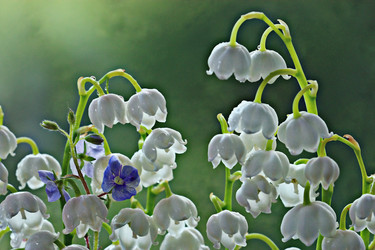 Similar image 10533284