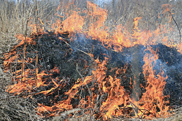 Similar image 10533288