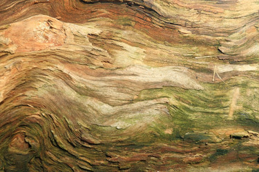 Similar image 10533298