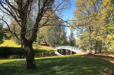 Similar image 10533299