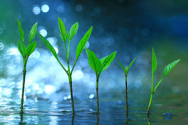 Similar image 10533307