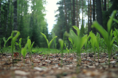 Similar image 10533309