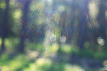 Similar image 10533310