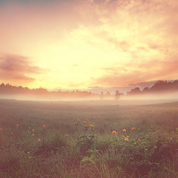 Similar image 10533311