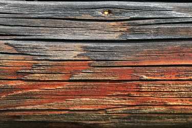 Similar image 10533329