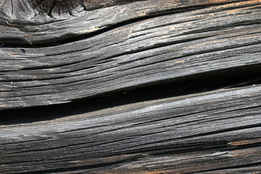 Similar image 10533330