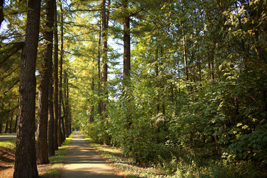 Similar image 10533347