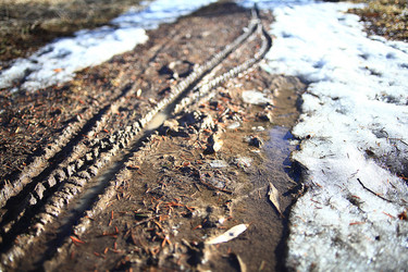 Similar image 10533349