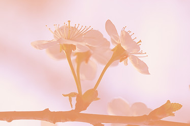 Similar image 10533376