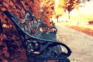 Similar image 10533395