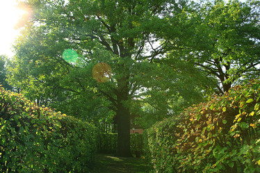 Similar image 10533396