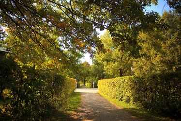 Similar image 10533397