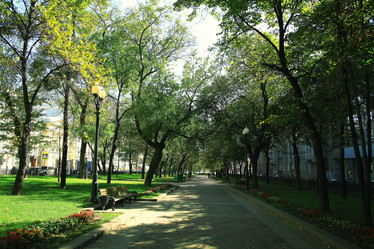 Similar image 10533409