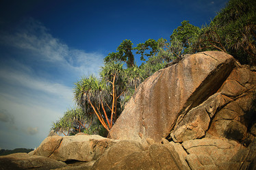 Similar image 10533427