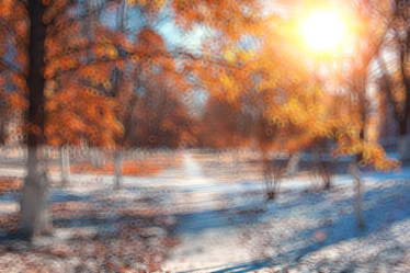 Similar image 10533429