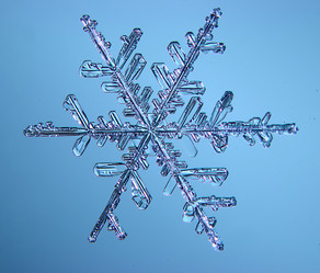 Similar image 10533444