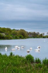 Similar image 10533514