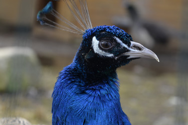 Similar image 10533527