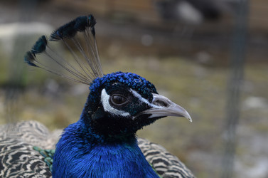 Similar image 10533529