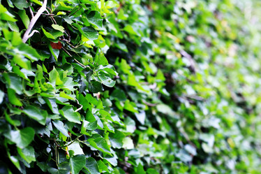 Similar image 10533532