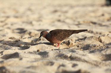 Similar image 10533539