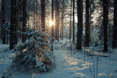 Similar image 10533572