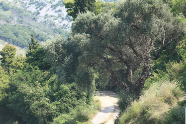 Similar image 10533575