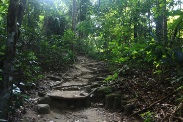 Similar image 10533586