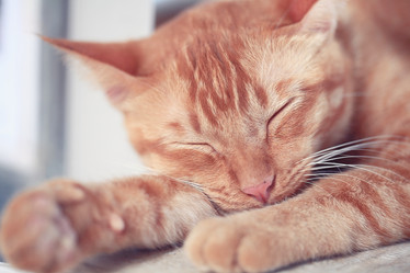 Similar image 10533607