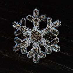 Similar image 10533613