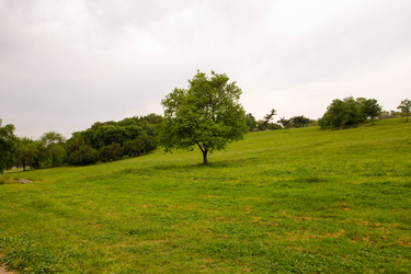 Similar image 10533618