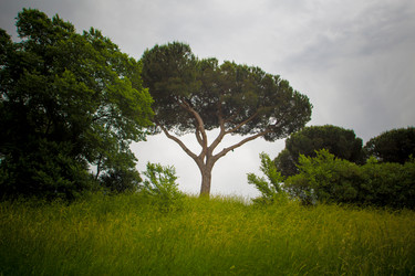 Similar image 10533619