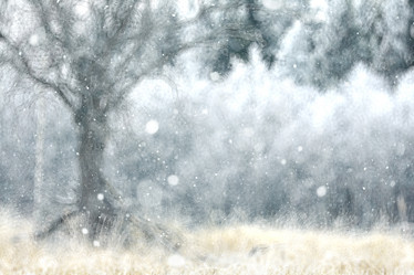 Similar image 10533634